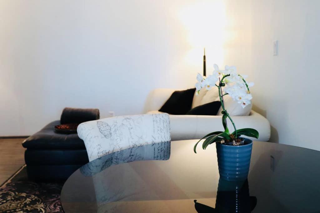 Appartamento Sun Dog Manor Maple Creek Esterno foto